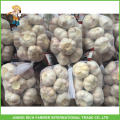 Vente en gros Jinxiang China Hybrid Garlic 5.5CM Mesh Bag En Carton 10KG